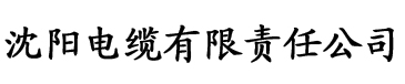 亚洲精品无码久久久电缆厂logo